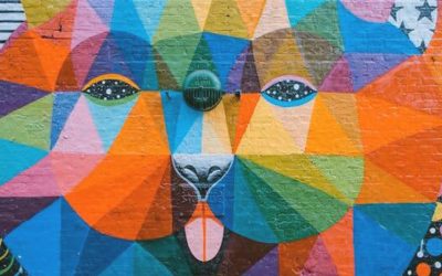 In Appreciation of Creativity